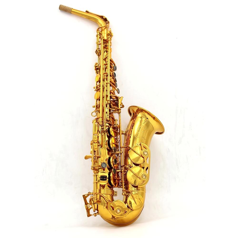 동양 음악 골드 래커 레퍼런스 54 알토 색소폰 SAX - 상세 이미지 2