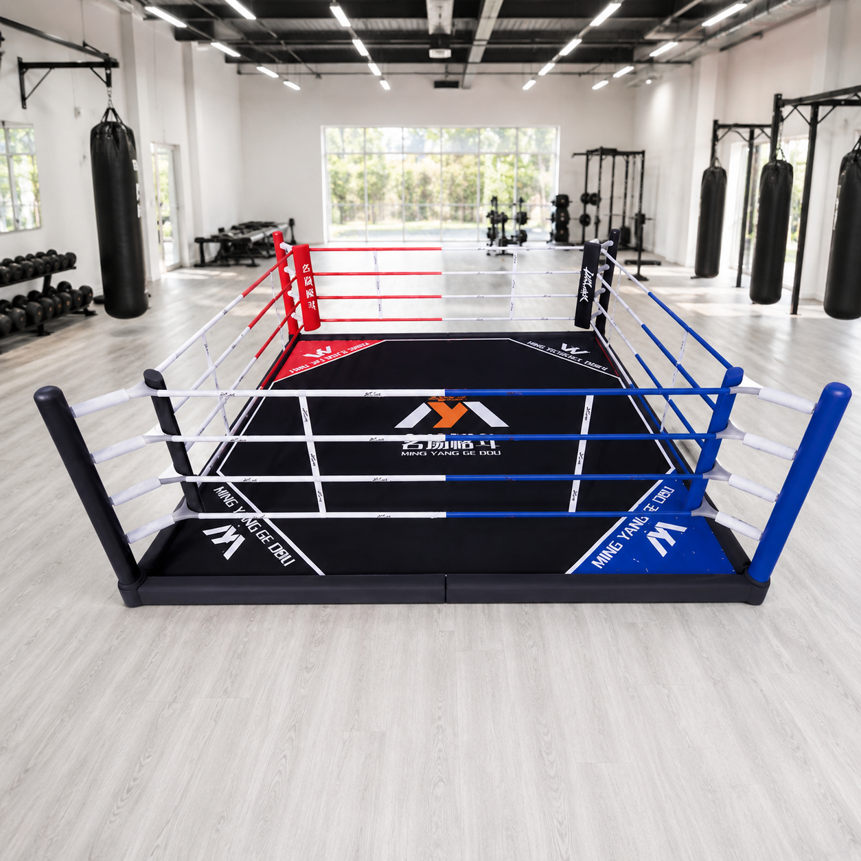 훈련용링대 접이식 복싱 격투기 무에타이 킥복싱 MMA 체육관 - 상세 이미지 5