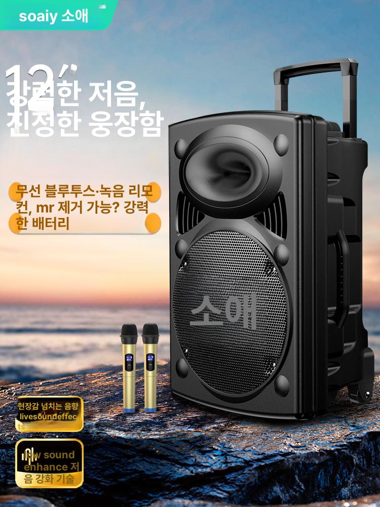 휴대용 블루투스 스피커 대용량 저음 야외 K팝 12 무거운 무선 마이크 - 상세 이미지 2