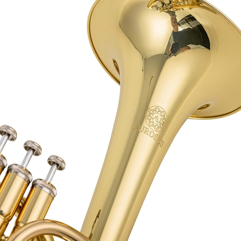 Aurous ASH-501L Horn E 플랫 0.462 보어 8인치 벨 골드 황동 리드파이프 니켈 실버 슬라이드 3 피스톤 래커 37C 마우스피스 백팩 케이스 - 상세 이미지 3