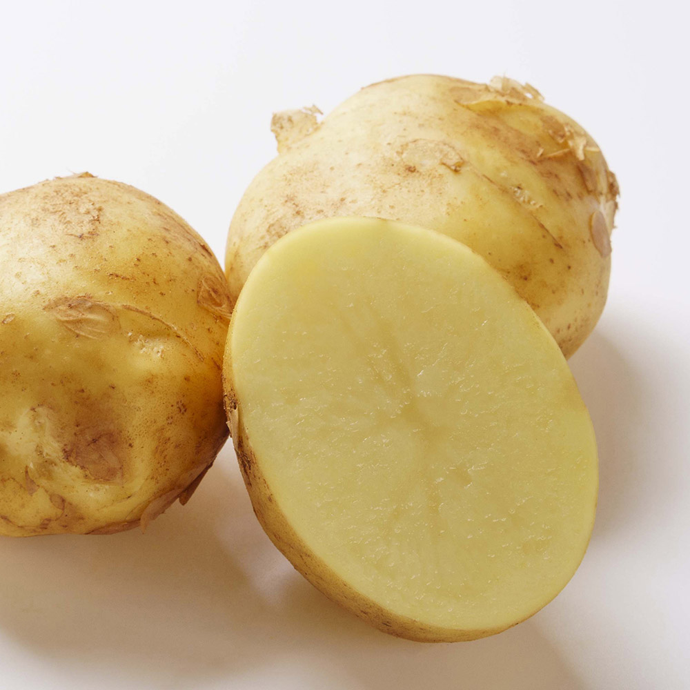 [농할20%] 새벽경매 국내산 햇감자 왕특 2.5kg 5kg - 상세 이미지 4