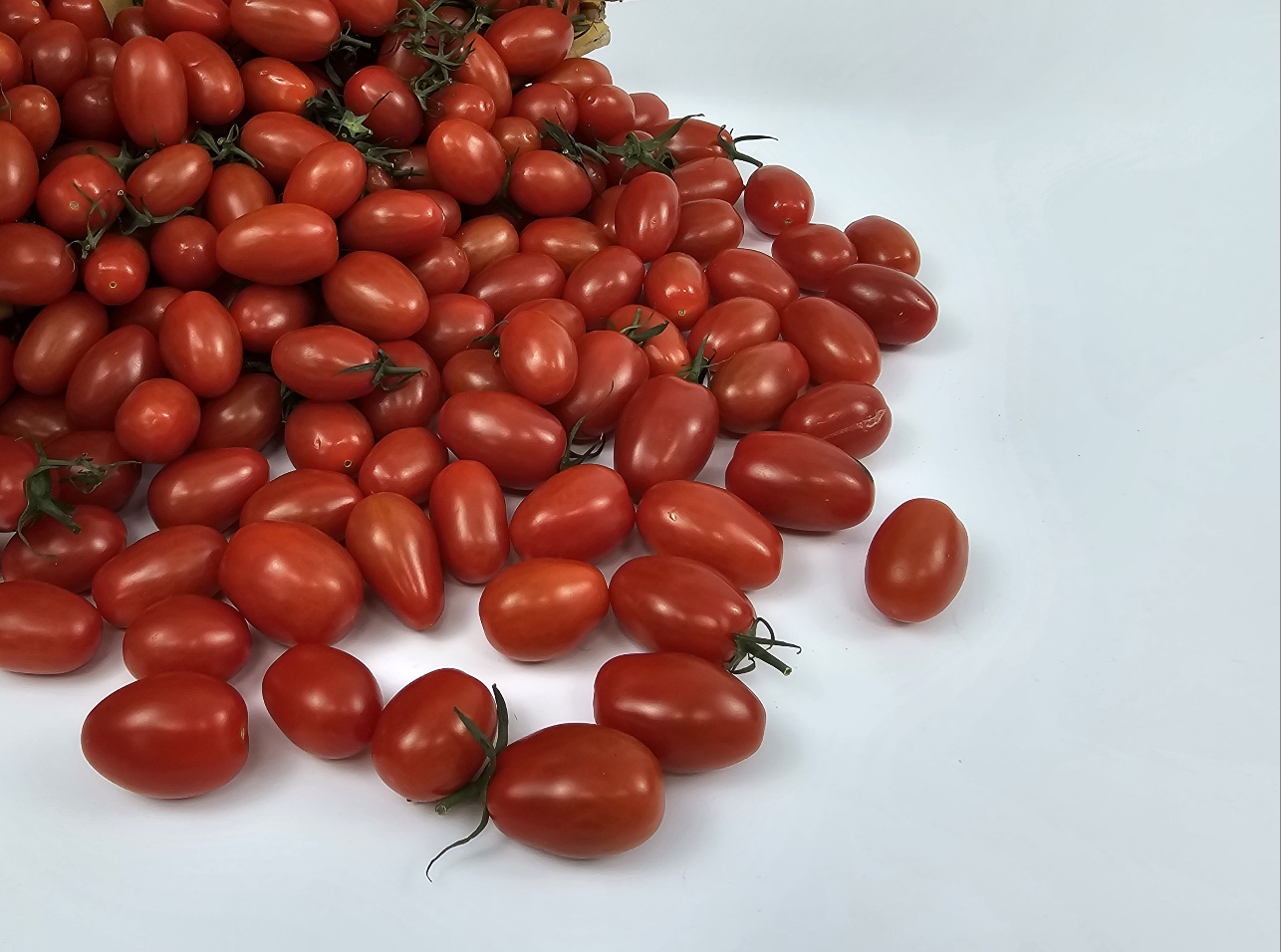 토해원 고당도 선별 대추 방울 토마토 1kg 2kg 3kg 특품 이미지 7