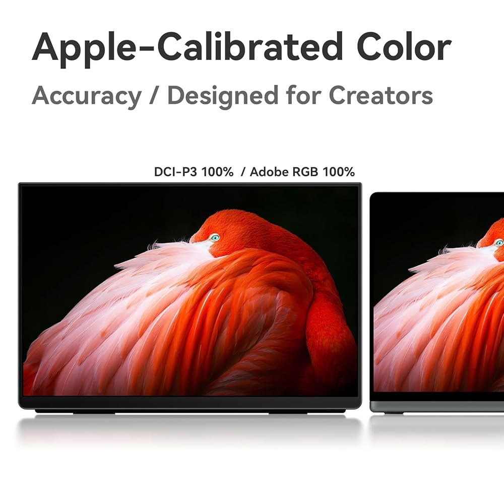EHOMEWI Q5 휴대용 모니터 2.5K 120Hz 16인치 QLED, 2560 1600 400니트 HDR 100 DCI-P3 1500 1 sRGB, FreeSync, 16 10 - 상세 이미지 3