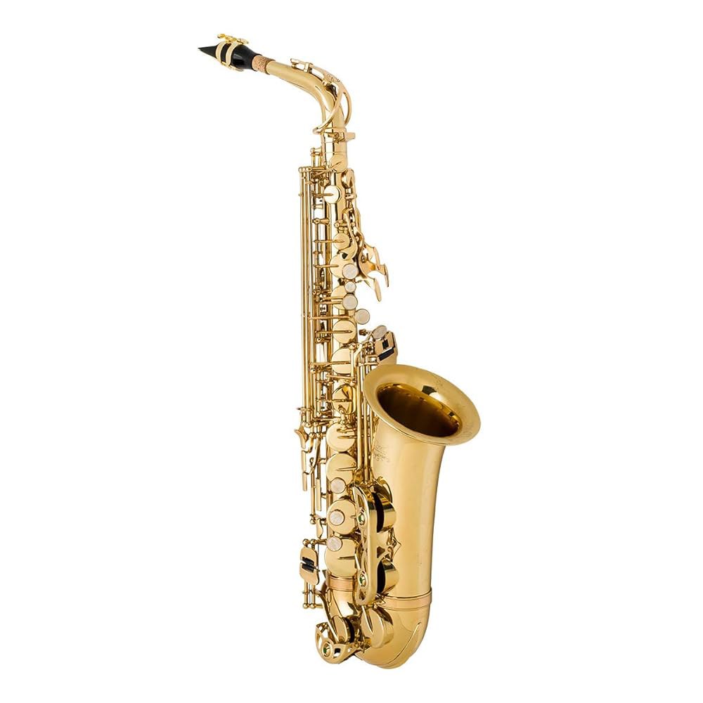진 폴 AS-400GP 학생 알토 색소폰 프리미엄 번들 INSTRUMENTS - 상세 이미지 2