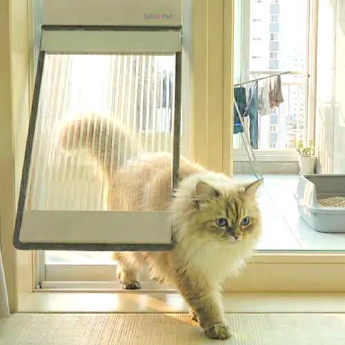 타비오 베란다펫도어 시공 고양이 강아지 출입문 견문 캣도어 방묘문 방묘창 안전문 방충망 - 상품 이미지