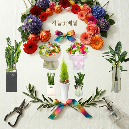부산강서구개업화분 화분배달 서양난