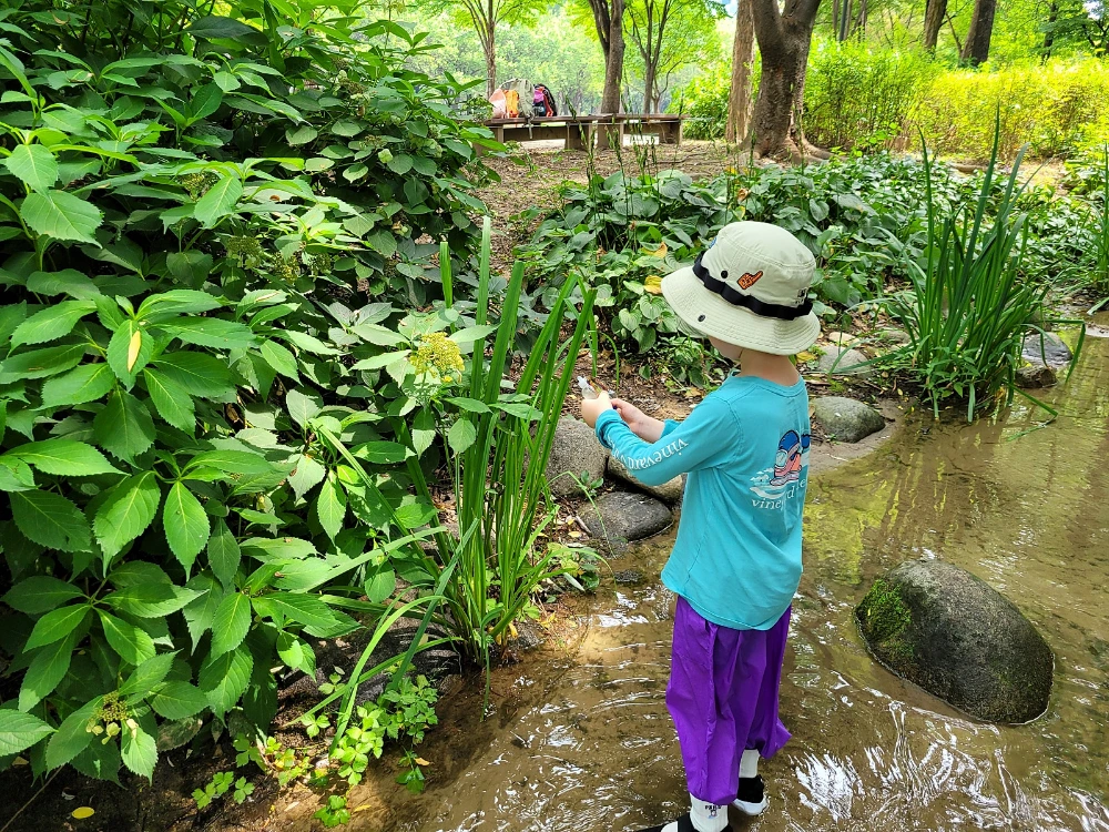 [1인 4.5만][8월앵콜] 숲에서 뛰놀고 시원한 물놀이까지! 여름 물놀이 숲체험 by 반가워숲학교 이미지 7