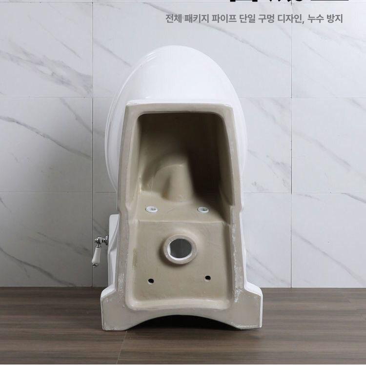 북유럽 좌변기 절수형 모던 디자인 인테리어 욕실 가정용 양변기 사이펀 위생도기 - 상세 이미지 3