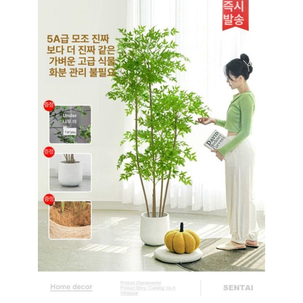 감성적인 몬스테라 인조 촬영 장식 매장 포토존 소품 1.6m 고급 난디나 + 화이트 사각 화분 - 상세 이미지 2