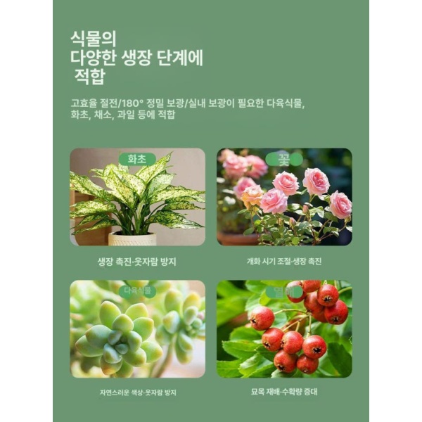 강력한 햇빛 촉진 반려 조명 다육 성장 재배 화초 수동 스위치 0.55m10W 미끄럼 1㎡ A - 상세 이미지 2