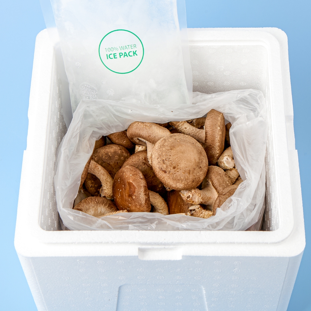 제주 생 표고버섯 1kg - 상세 이미지 4