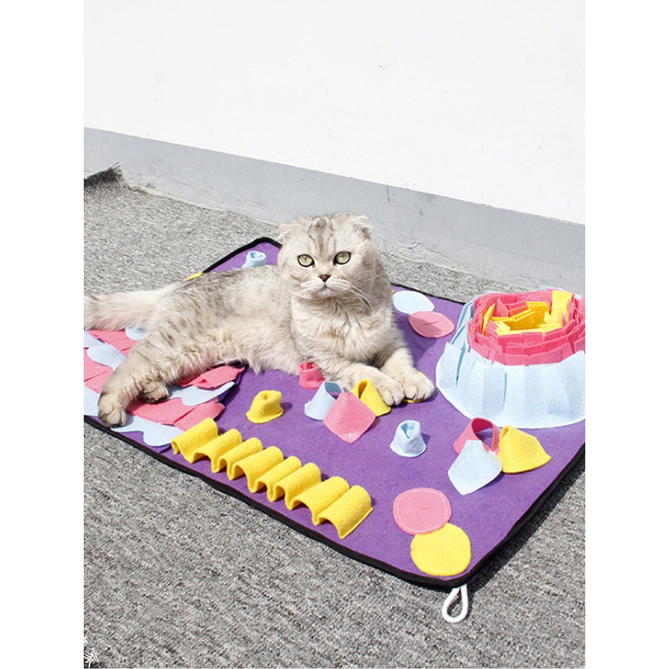 OH 탁펫 마린 고양이 애완동물 워크 반려 노즈워크 반려 실내 자주색 프 이즈 70x50cm - 상세 이미지 2