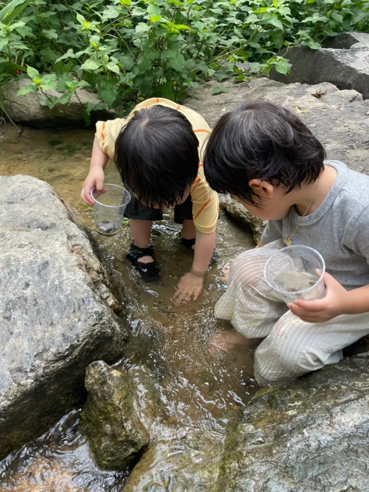 [1인 4.5만][8월앵콜] 숲에서 뛰놀고 시원한 물놀이까지! 여름 물놀이 숲체험 by 반가워숲학교 - 상세 이미지 2