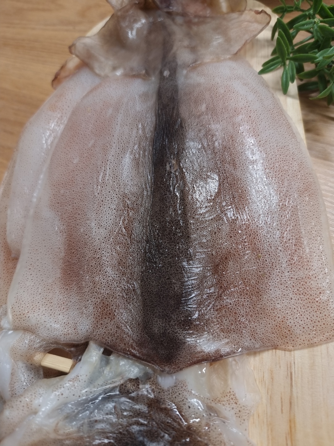 동해안 구룡포 건조 반건조오징어 피데기 마른오징어 10마리 1.7kg, 1개 - 상세 이미지 3