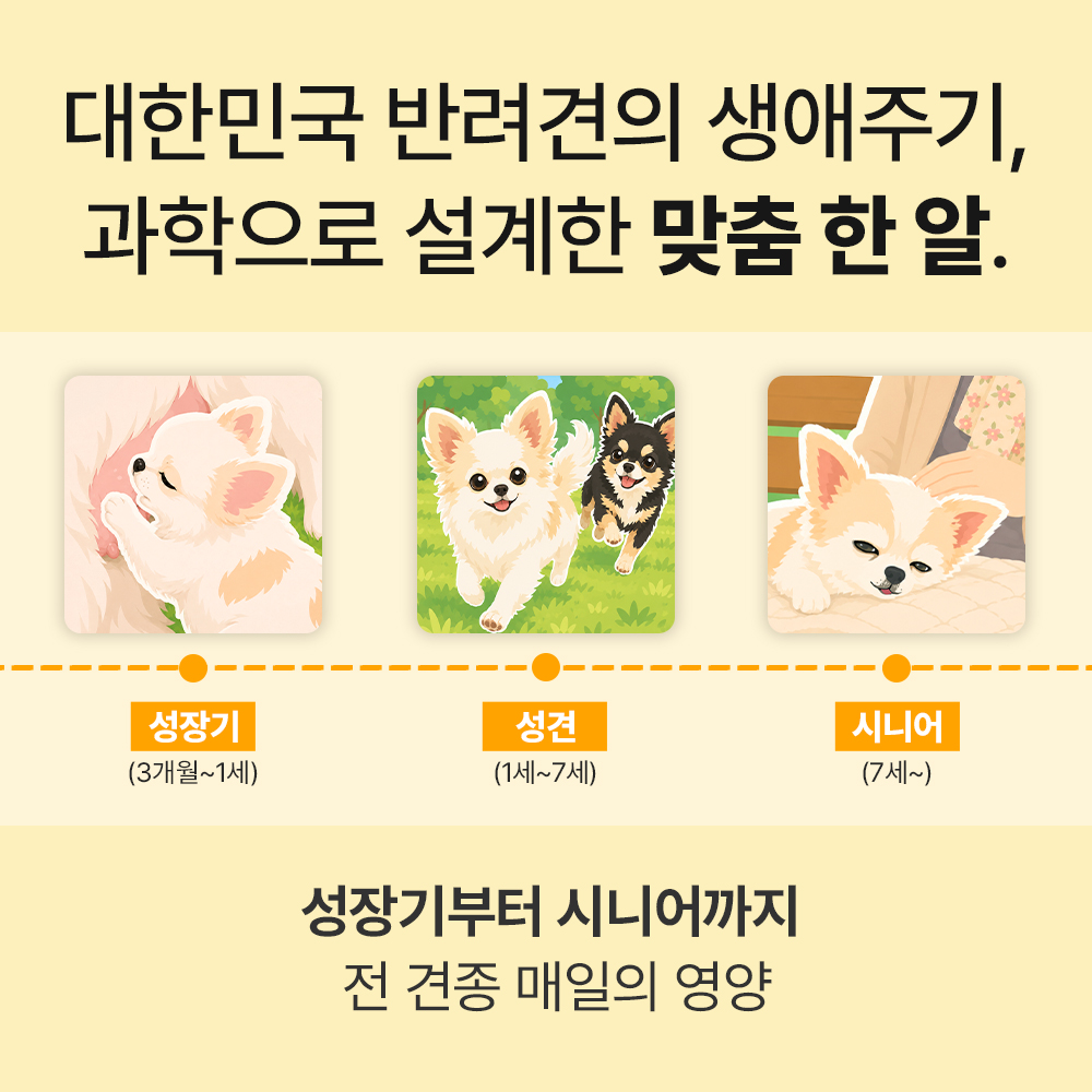 닥터바이 비타징크 강아지 종합영양제 멀티비타민 피부 눈 기관지 관절 노견 60캡슐, 1개 이미지 8