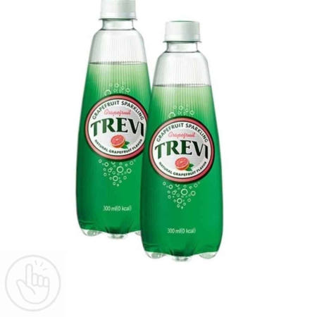 S자사협력사 제로슈가음료 탄산음료수 제로음료 트레비 자몽 300ml 20p