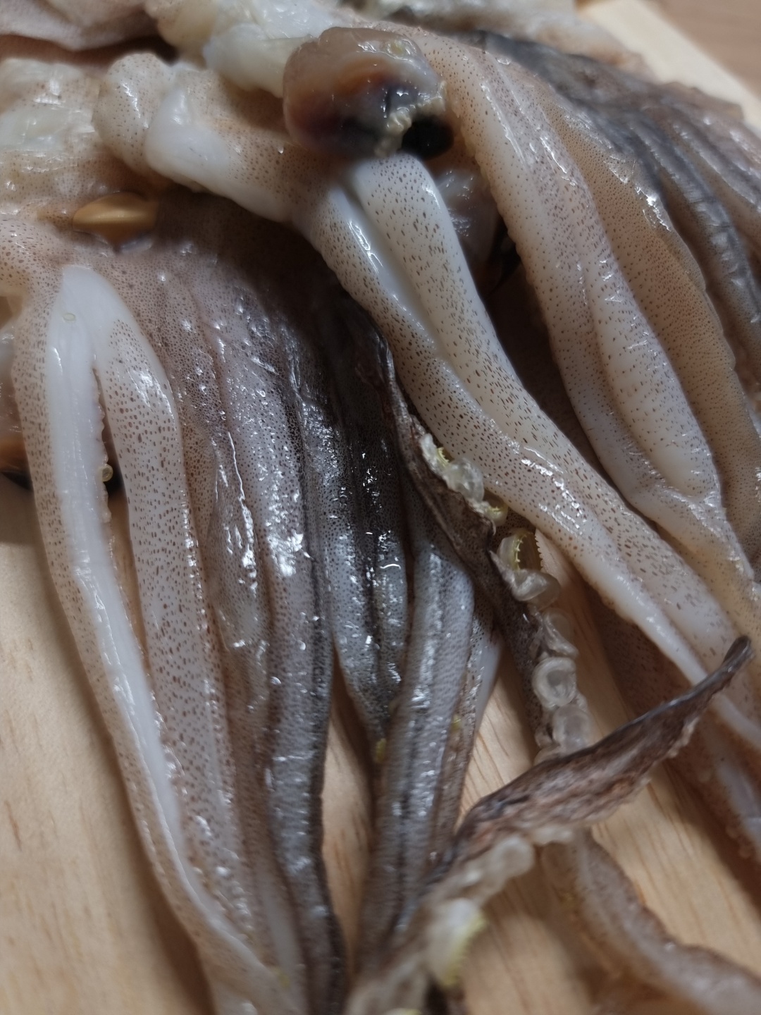 동해안 구룡포 건조 반건조오징어 피데기 마른오징어 10마리 1.5kg, 1개 - 상세 이미지 3