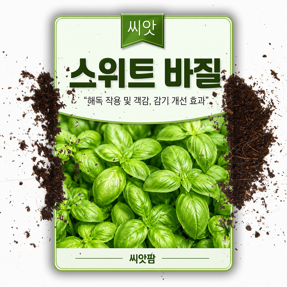 스위트 바질 씨앗 허브 키우기 바실 2000립 sweet basil 종자 - 상품 이미지