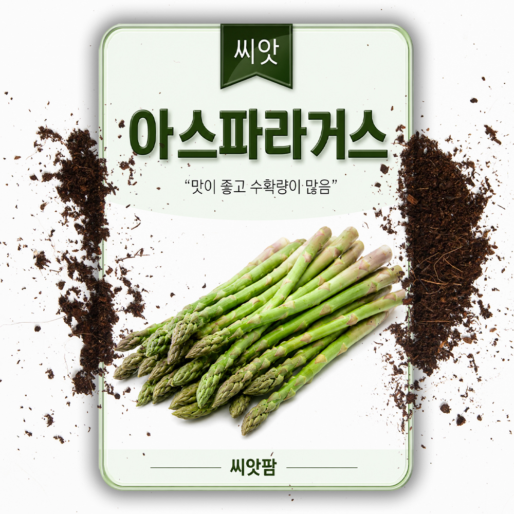 아스파라거스 씨앗 200립 채소 이색 서양채소 종자 - 상품 이미지