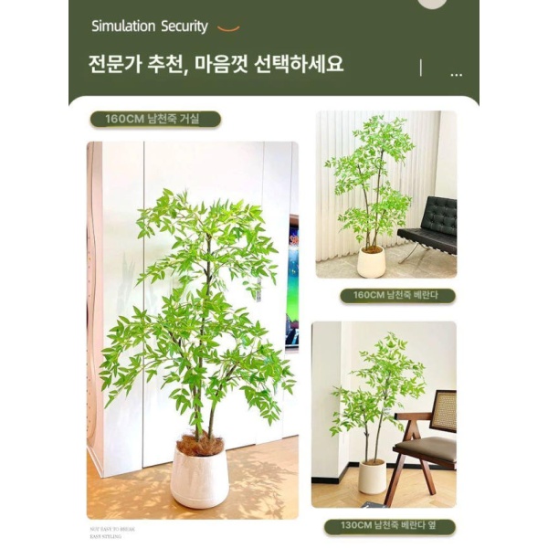 감성적인 몬스테라 인조 촬영 장식 매장 포토존 소품 1.6m 고급 난디나 + 화이트 사각 화분 - 상세 이미지 4