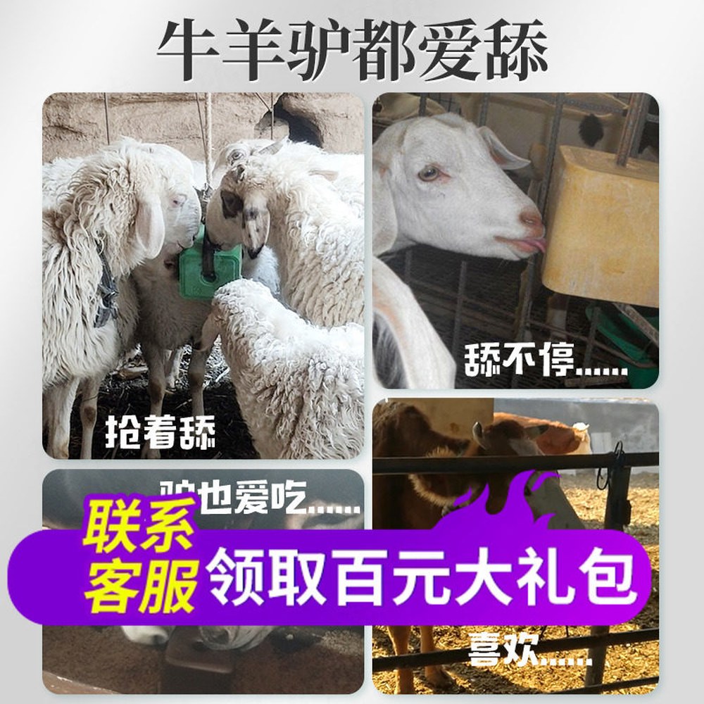 가축 미네랄 블럭 말 원통형 염소 보충제 소금벽돌 염소소금 블록 5L - 상세 이미지 3