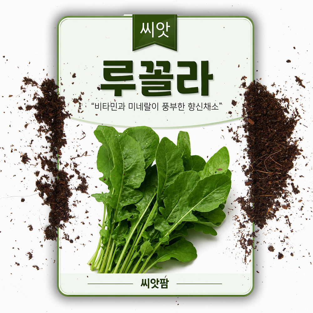 루꼴라 씨앗 8000립 로켓샐러드 키우기 루콜라 루꼴라 씨 허브 종자 - 상품 이미지