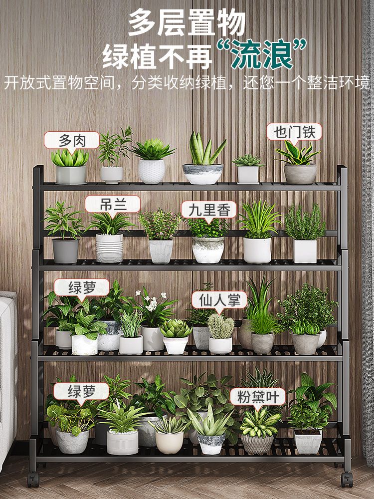 철제 거실 식물 다육이 베란다 홈플랜트 화분랙 진열대 선반대 화분선반 화분정리대 스탠드 - 상세 이미지 3