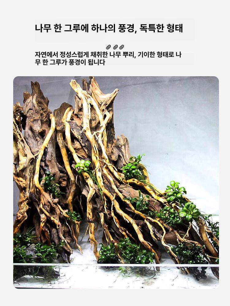 유목레이아웃 뿌리 가지 은신처 ZH-1 (15x10x18cm) - 상세 이미지 5