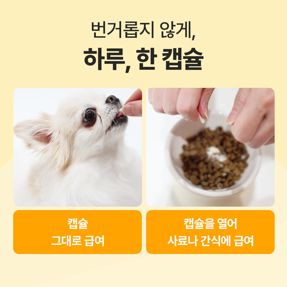 닥터바이 비타징크 강아지 종합영양제 멀티비타민 피부 눈 기관지 관절 노견 60캡슐, 1개 - 상세 이미지 5