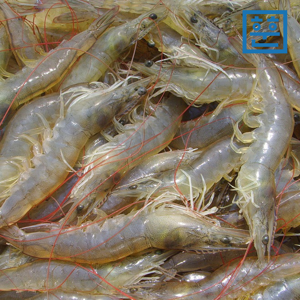 국내산 칵테일새우 무첨가물 친환경 손질새우 깐새우살 이미지 6