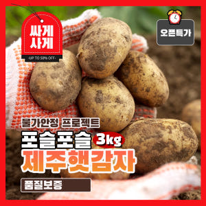 제주도 포슬포슬 제주 햇 감자 3kg 외 1kg 5kg 맛있게 먹은 솔직 후기 - 상품 이미지 1