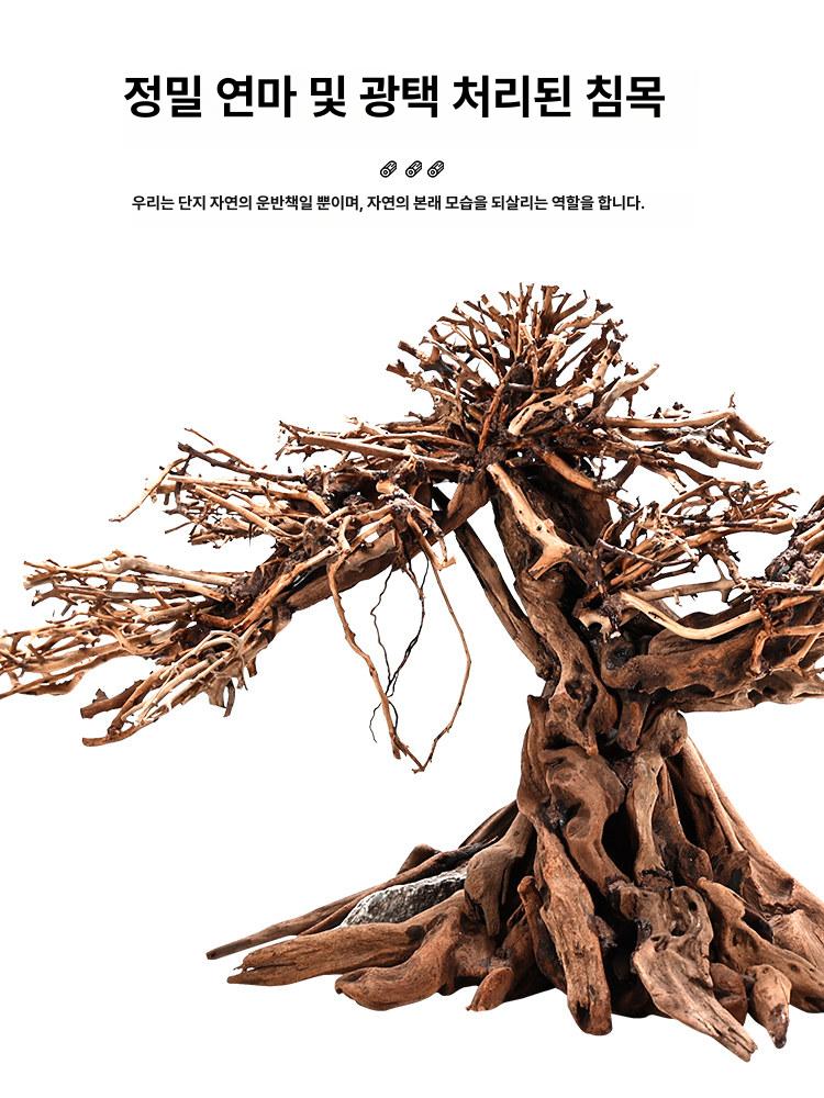 유목레이아웃 뿌리 가지 은신처 ZH-1 (15x10x18cm) - 상세 이미지 4