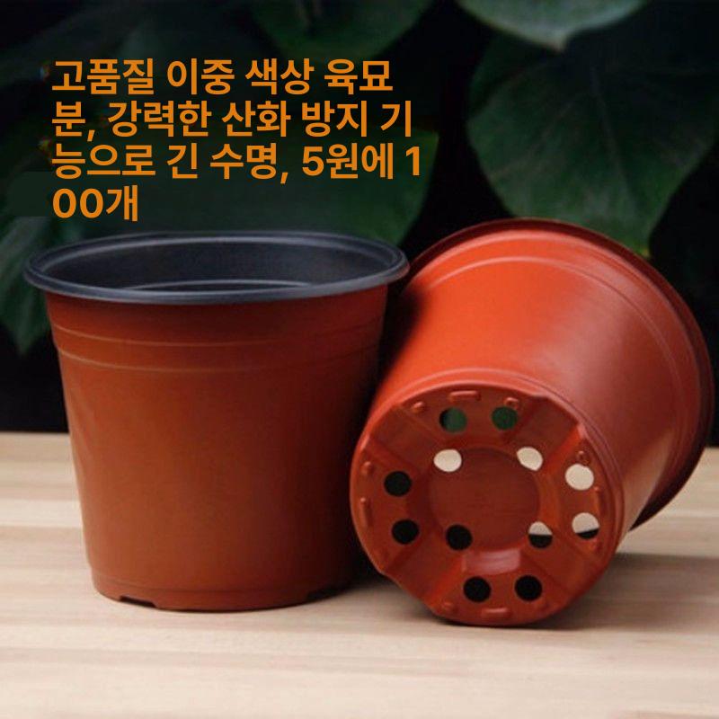 일회용 연질화분 육묘컵 파종 분갈이 모종화분 재배 원예용 분재용 농장 연질분 다육 - 상세 이미지 2