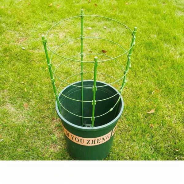 튼튼한 화분 원예 울타리 묘목 식물 지지대 지주대 45cm 3개봉3개 18cm - 상품 이미지