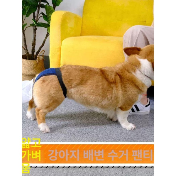 튼튼한 대변 수거용 강아지 애견 봉투 배변 주머니 XL 17.5-30kg 중간 - 상세 이미지 2