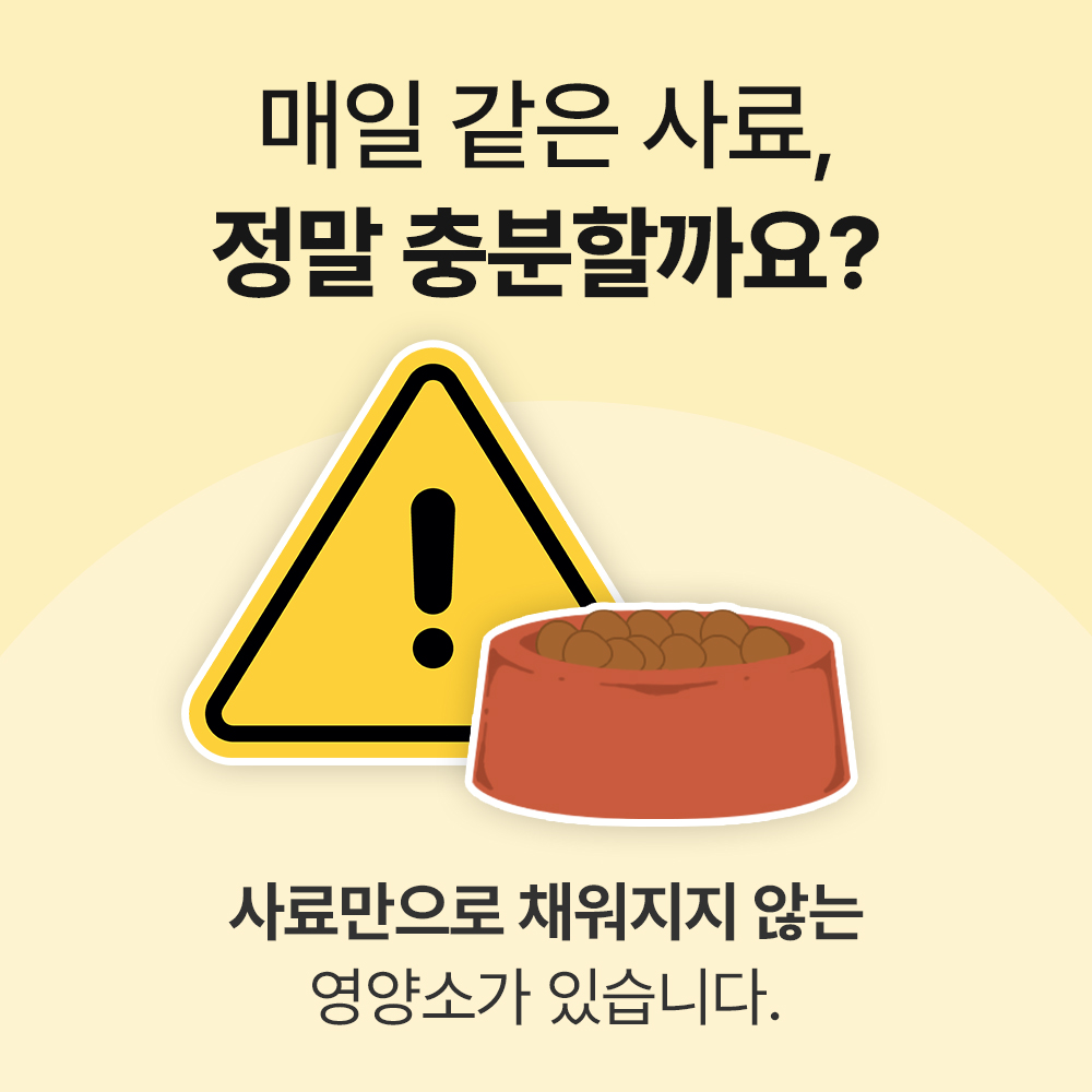 닥터바이 비타징크 강아지 종합영양제 멀티비타민 피부 눈 기관지 관절 노견 60캡슐, 1개 - 상세 이미지 4