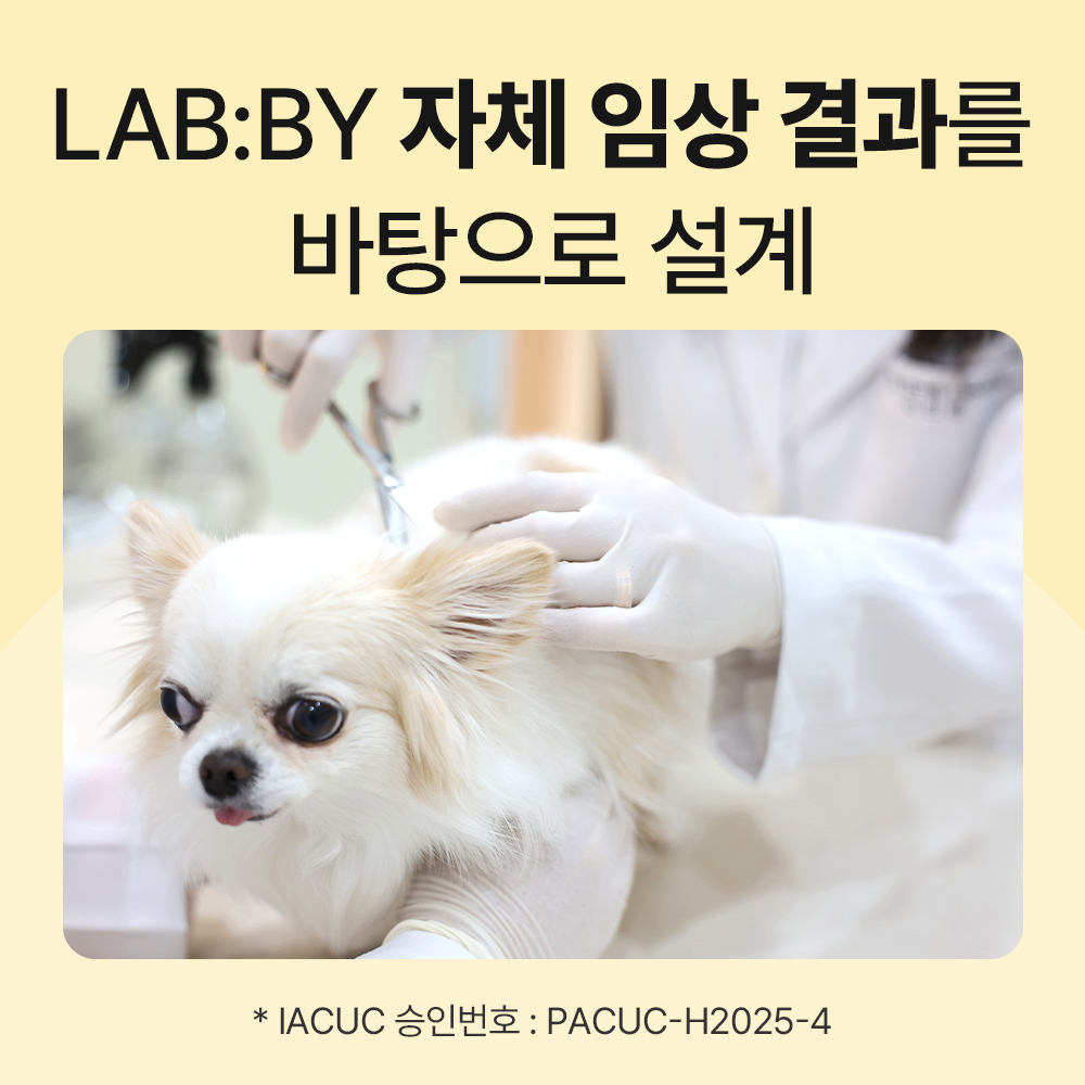 닥터바이 비타징크 강아지 종합영양제 멀티비타민 피부 눈 기관지 관절 노견 60캡슐, 1개 이미지 7