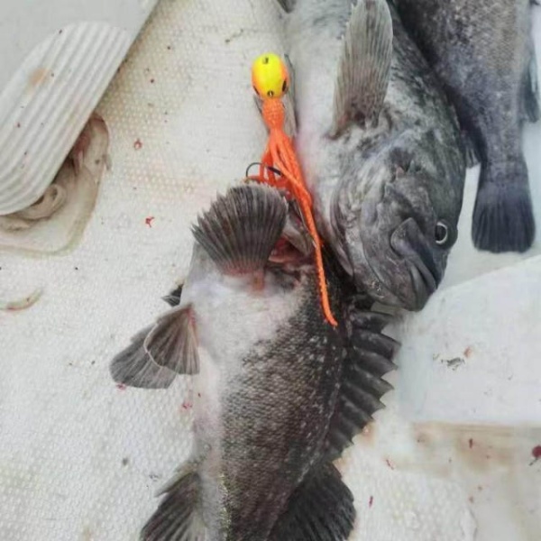 강력한 대구라바 고중량 쿠루쿠루 참돔 루어 채비 봉돌 오렌지 타코웜 - 상세 이미지 5