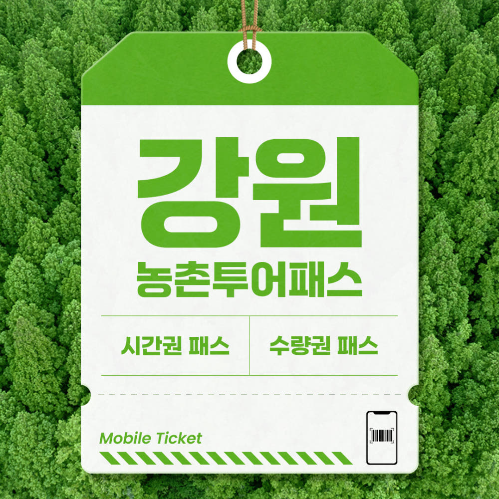 강원 농촌투어패스 BIG1