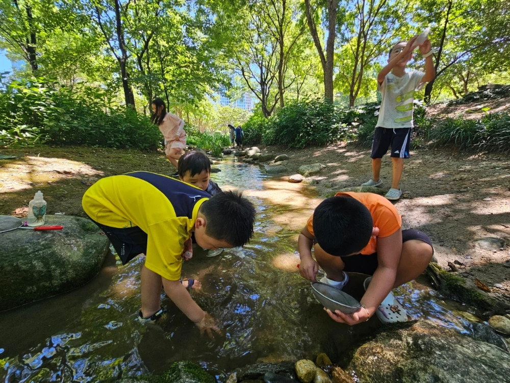 [1인 4.5만][8월앵콜] 숲에서 뛰놀고 시원한 물놀이까지! 여름 물놀이 숲체험 by 반가워숲학교 - 상세 이미지 4
