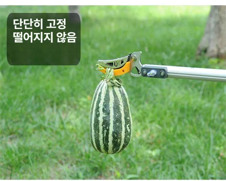 높은가지따기 장대 긴 정원 복숭아 가지치기가위 열매따기 전지가위 감따기 도구 수확 - 상세 이미지 4