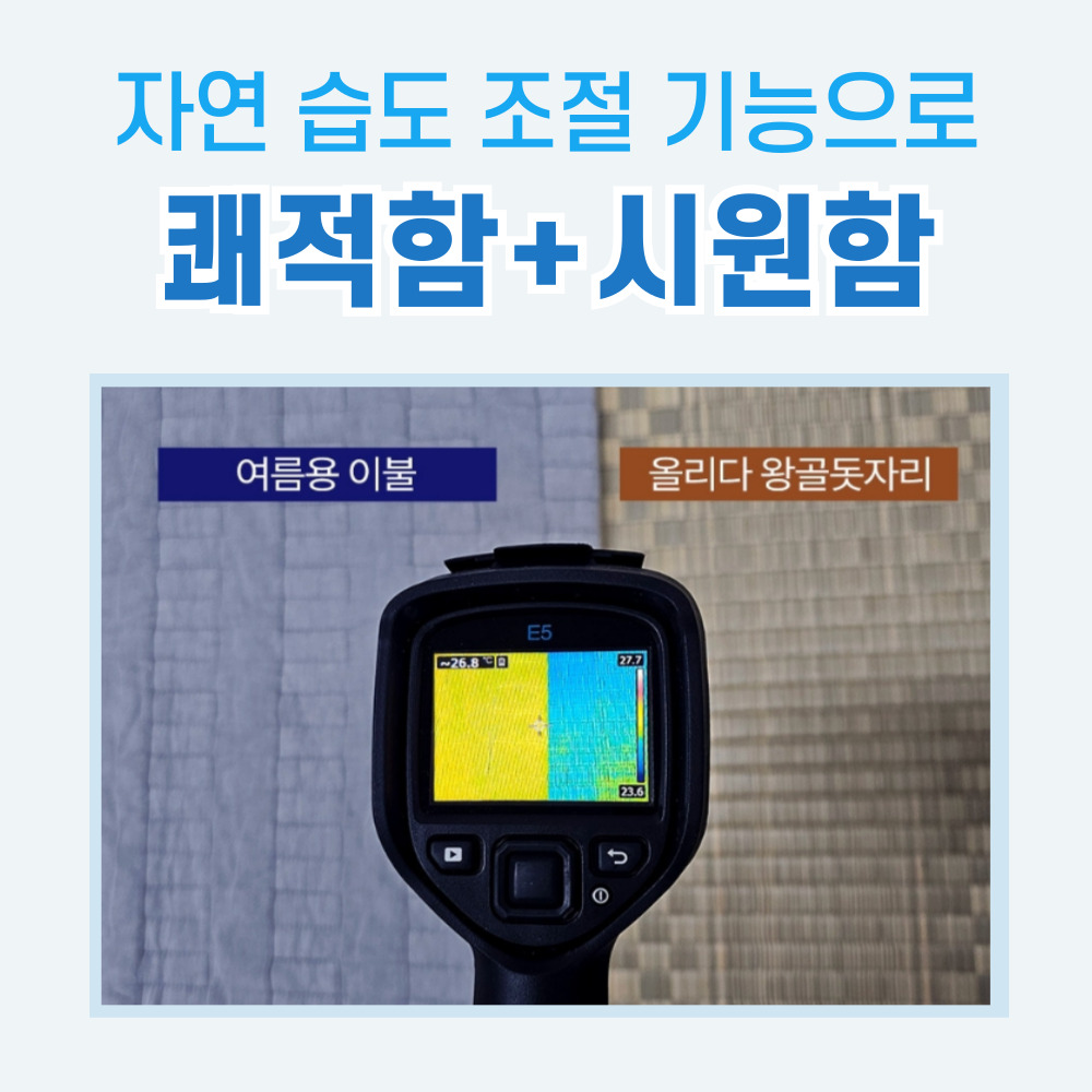 올리다 왕골 돗자리 자리 매트 함평 국산 여름 제사 난초무늬 1인용 이미지 2