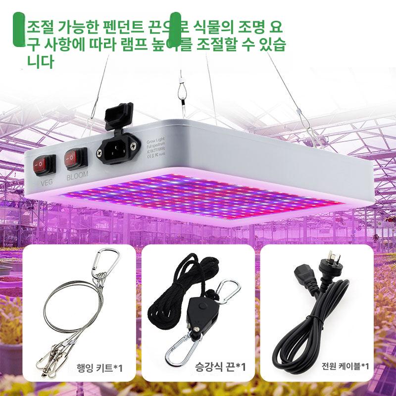 자외선 경화기 공냉식 건조기 코팅 라이트 경화램프 노광기 네일아트 조사기 - 상세 이미지 5