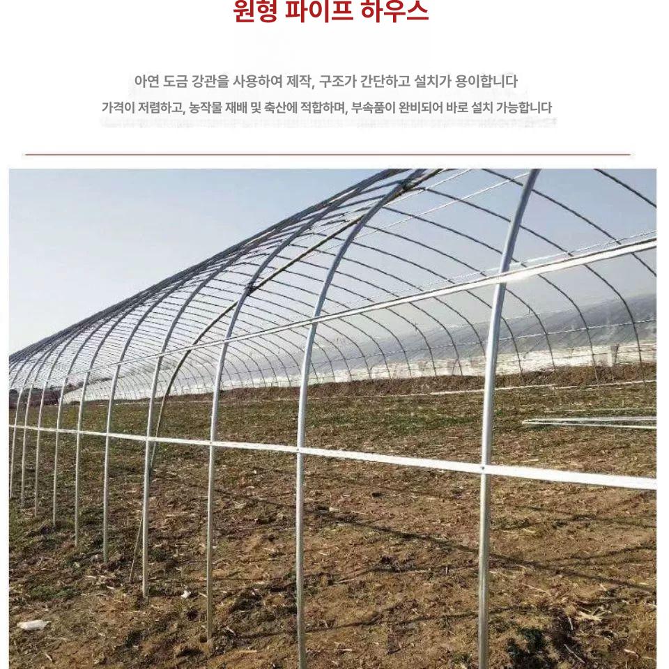 골조 조립식비닐하우스 무방울 온실 길이 프레임 농자재 높이 겨울 재배 가정용 - 상세 이미지 3