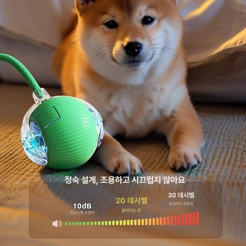 최고급 고양이장난감 움직이는 양모공 달린 낚시대 캣닢 사냥놀이 플러시 쥐돌이 - 상세 이미지 5