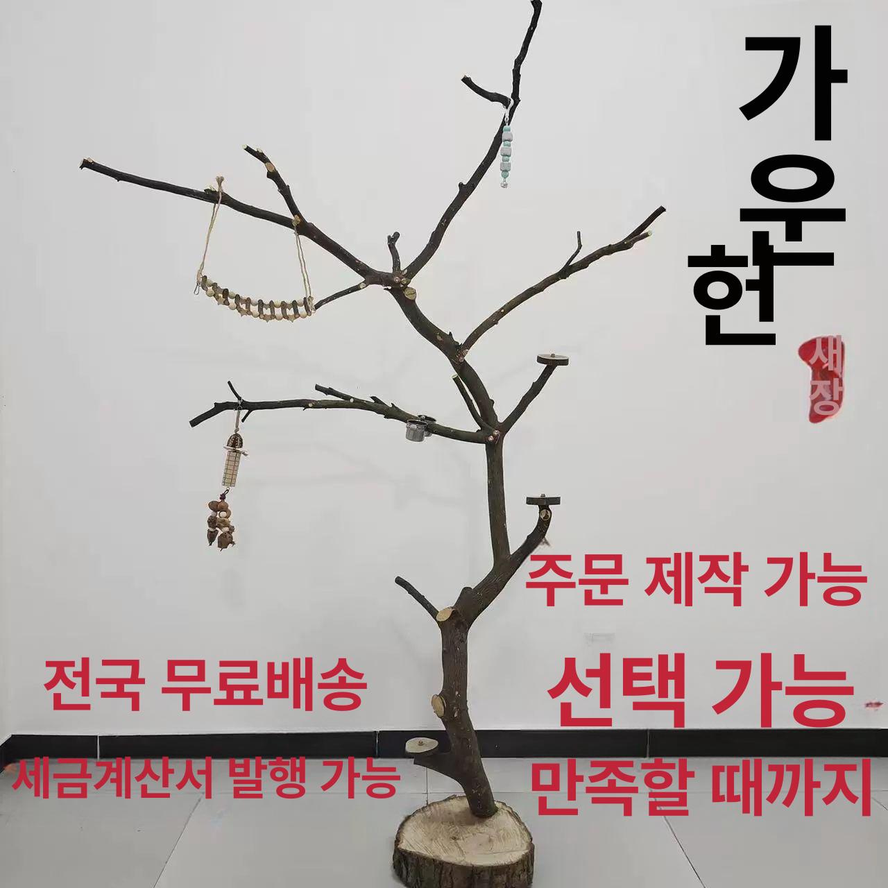 원목 앵무새타워 조류 높이 나뭇가지 폴대 사다리 장식 놀이터 스탠드 앵무새횟대 - 상세 이미지 3