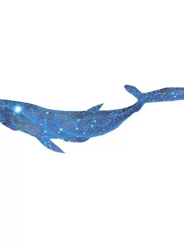 조명 고래led액자 거실 배경 고래그림 라이트 벽장식 침실 무드등 - 상품 이미지