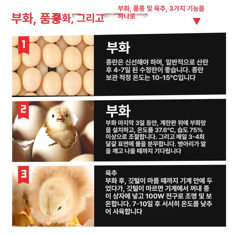 대형 자동부화기 전자동 조류 닭 디지털 알 거위 병아리 달걀 유정란 오리 온도 - 상세 이미지 4