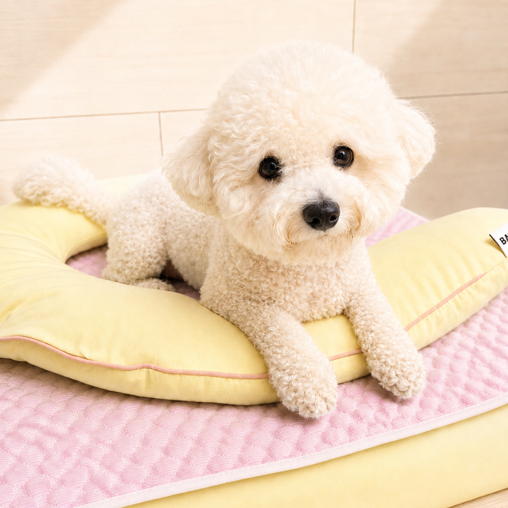 반다르크 개편한세상 [베드+필로우SET] 강아지 방석 쿠션 노견 노묘 침대 고양이 강아지 베게 75x60 - 상세 이미지 5