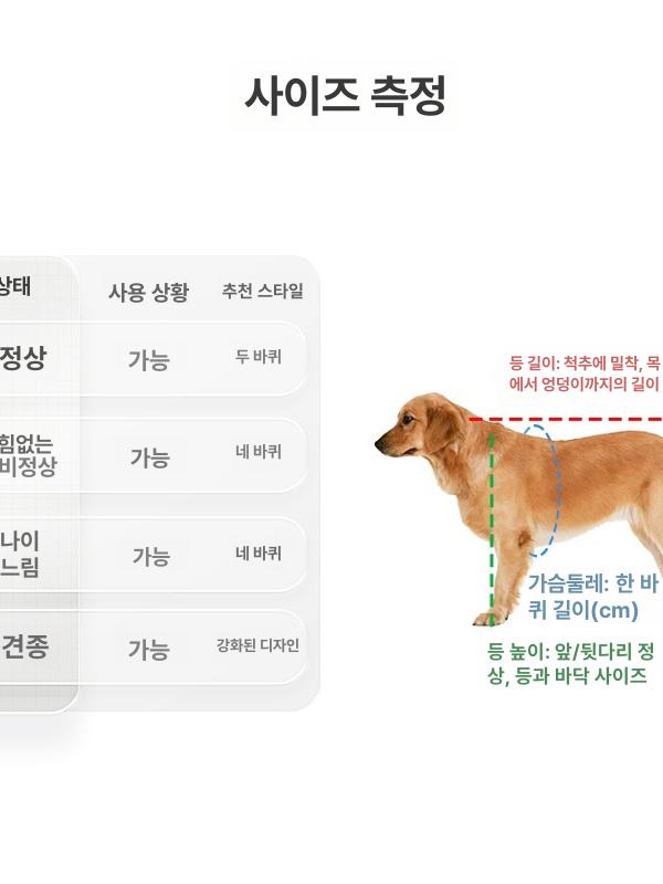 노령견 강아지보조기 강아지보행기 노견 애완견 고관절이형성증 다리 케어용품 - 상세 이미지 5